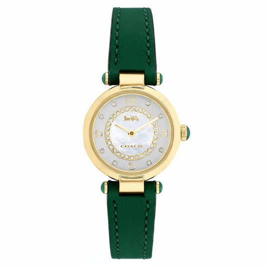 Coach Cary Green Leather Silver Mother of Pearl Dial Women's Watch – 14503894